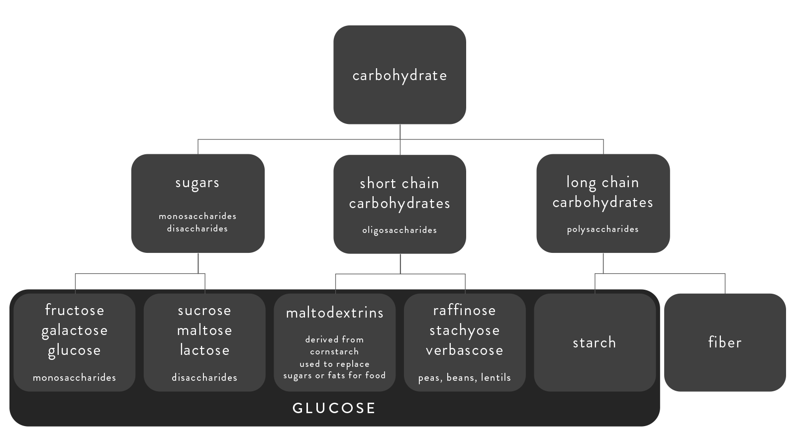 Carbohydrate_Breakdown_Diagram