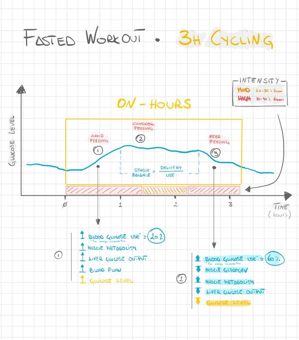 How to Interpret Glucose Levels During Fasted Training